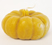 Pumpkin  | Ladd Cottage