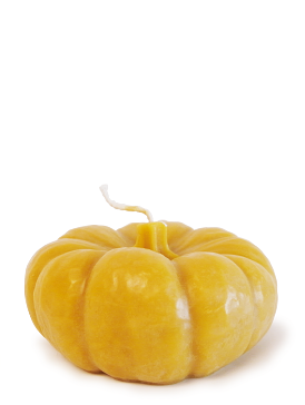 Pumpkin | Ladd Cottage