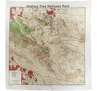 Joshua Tree National Park | THE PRINTED IMAGE