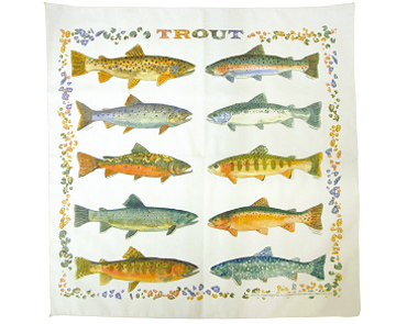 Trout | THE PRINTED IMAGE