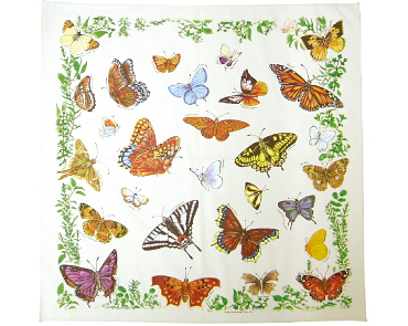Butterflies | THE PRINTED IMAGE